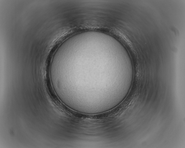 X0000115280635200911131829