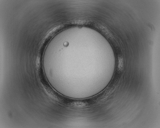 X0000115280636200911131829