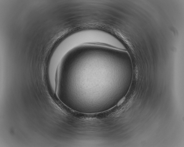 X0000115280637200911131829