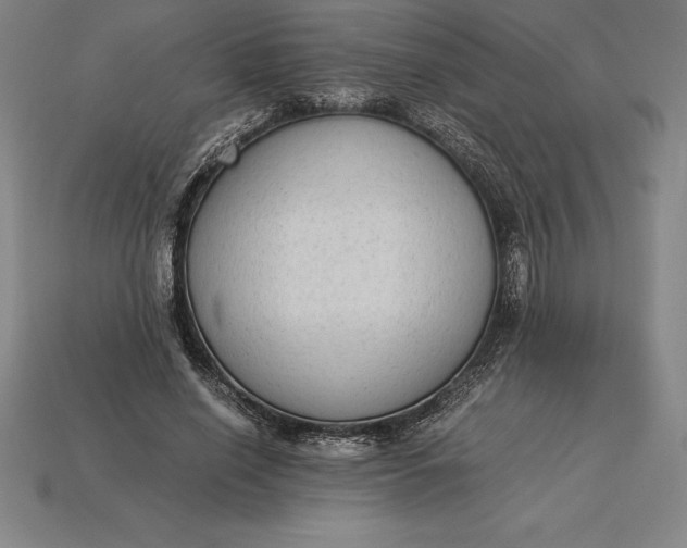 X0000115280638200911131829