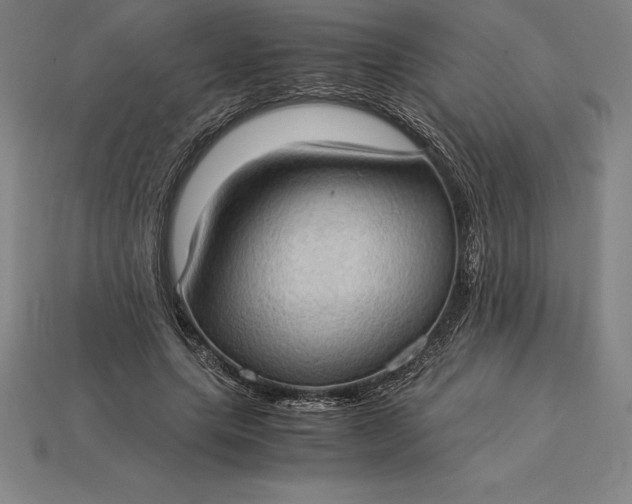 X0000115280639200911131829