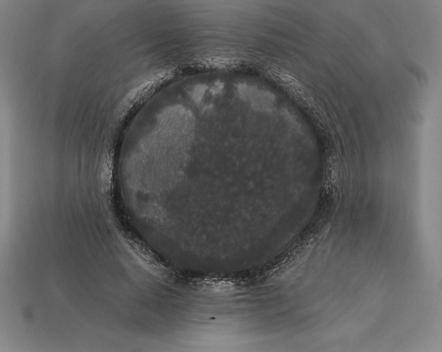 X0000115280640200911131829