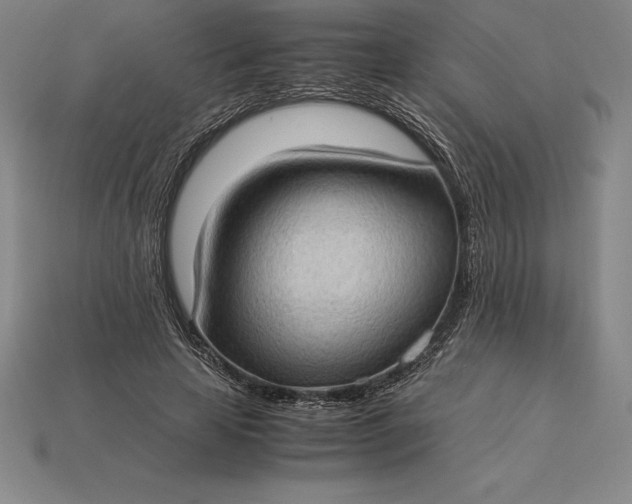 X0000115280641200911131829