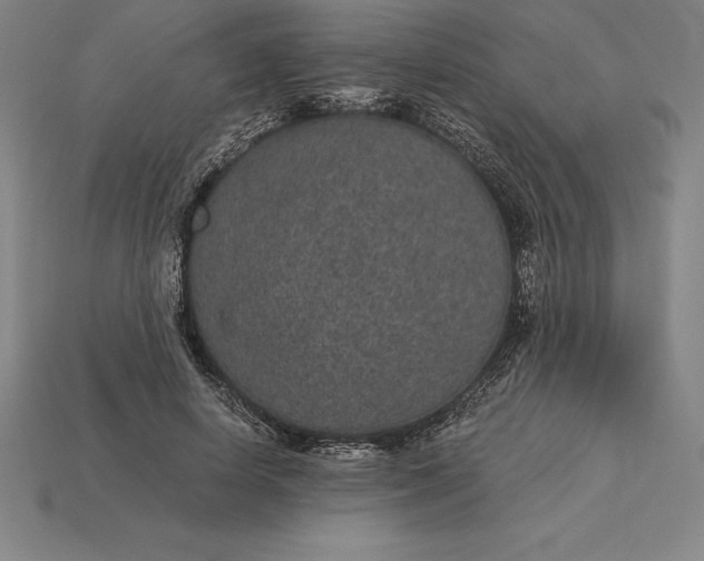 X0000115280642200911131829