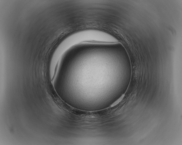 X0000115280643200911131829