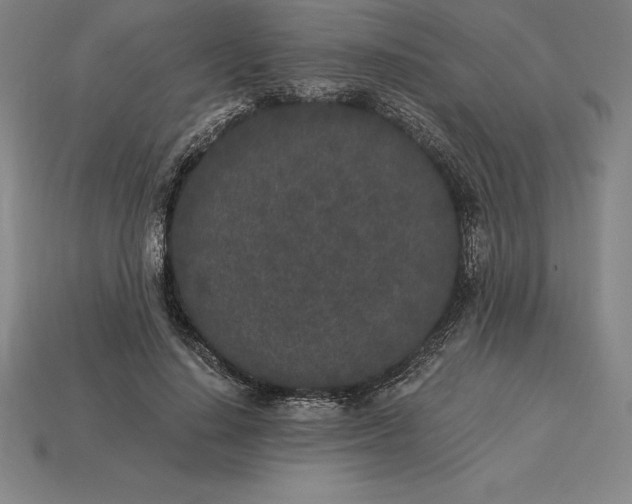 X0000115280644200911131829