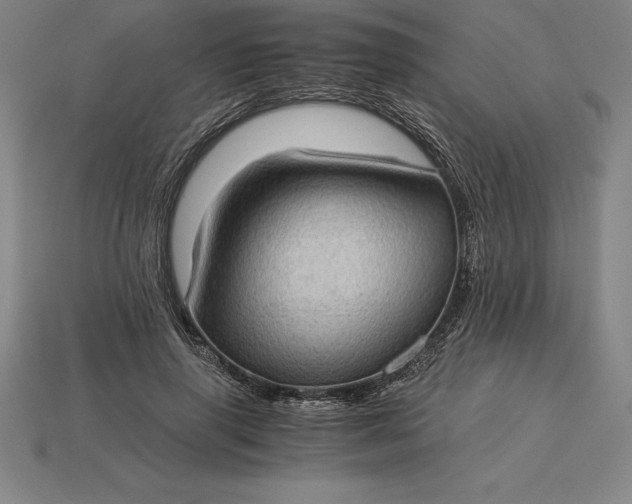 X0000115280645200911131829