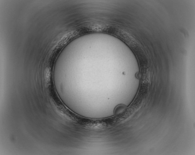 X0000115280646200911131829