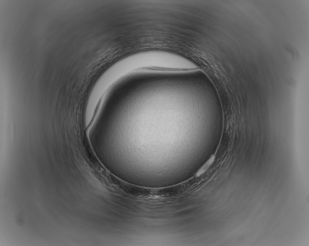 X0000115280647200911131829