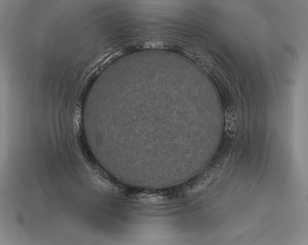 X0000115280648200911131829