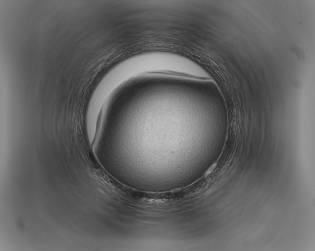 X0000115280649200911131829