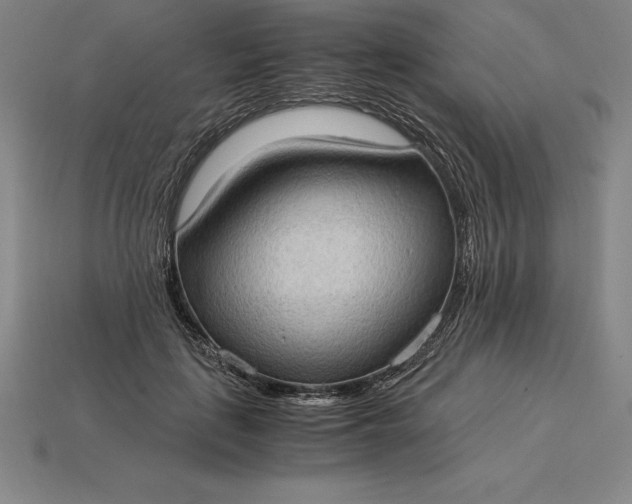 X0000115280651200911131830