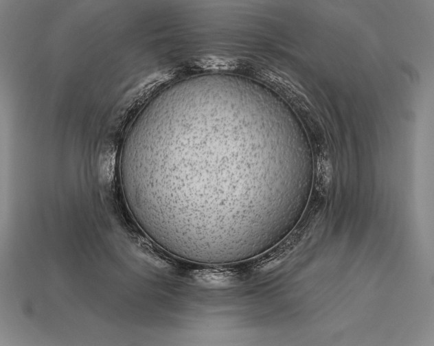 X0000115280652200911131830