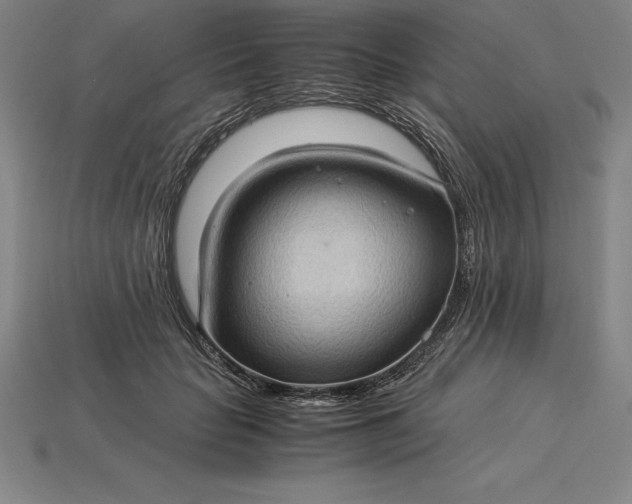 X0000115280653200911131830