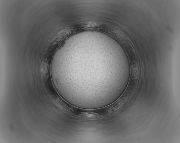 X0000115280654200911131830