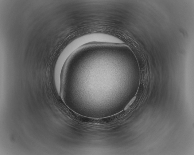 X0000115280655200911131830