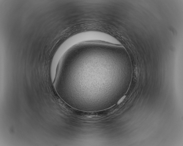 X0000115280657200911131830