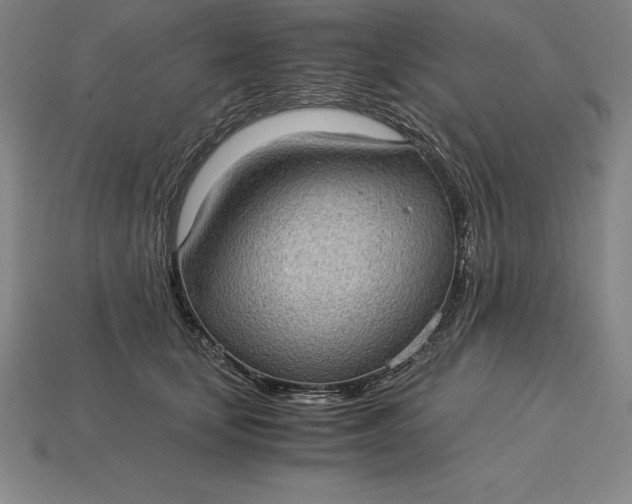 X0000115280659200911131830