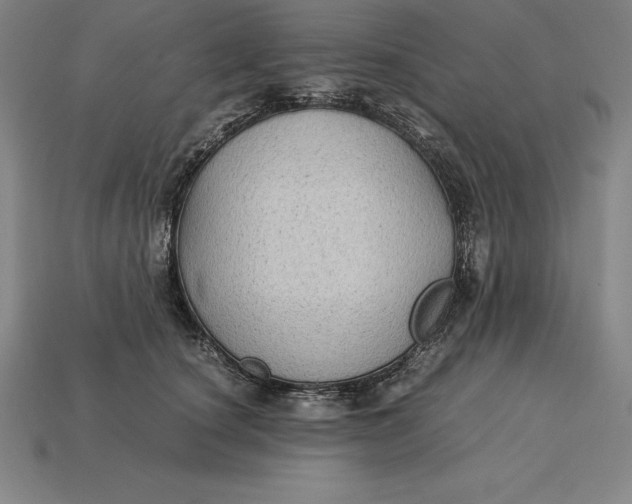 X0000115280660200911131830