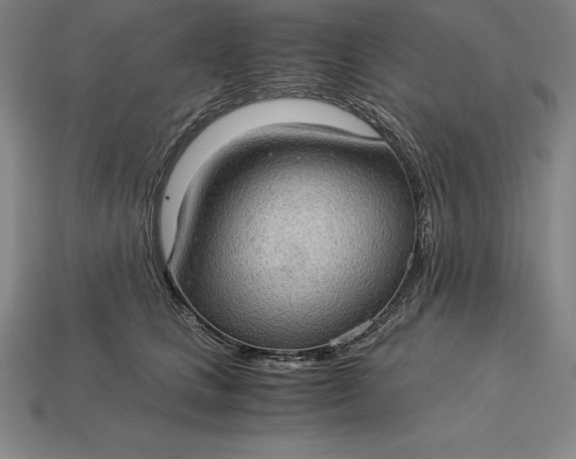 X0000115280661200911131830