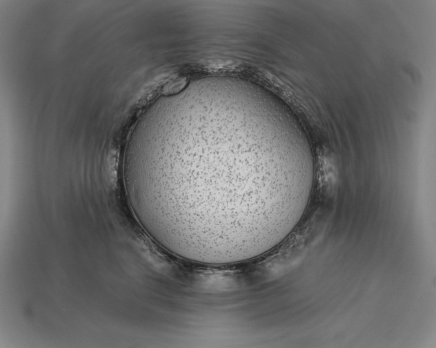 X0000115280664200911131830