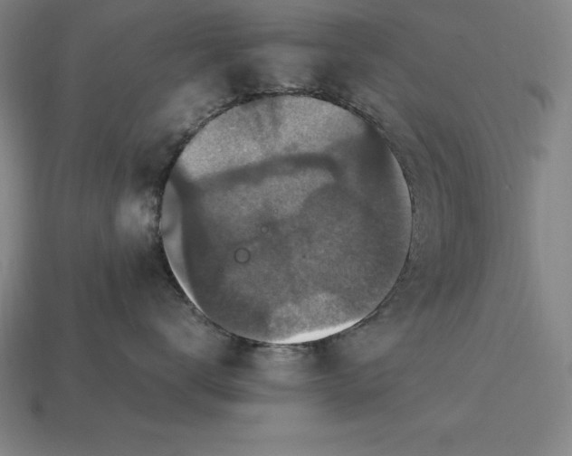 X0000115280672200911131830