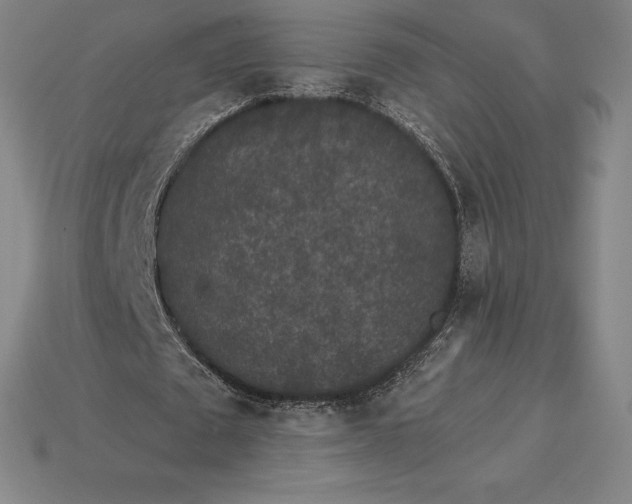 X0000115280673200911131829