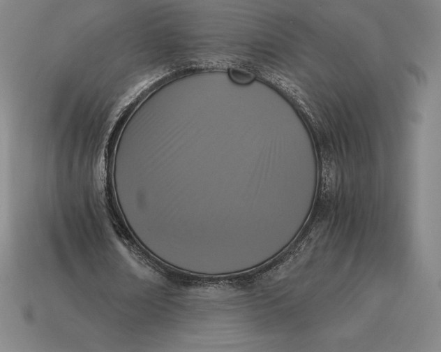 X0000115280674200911131829