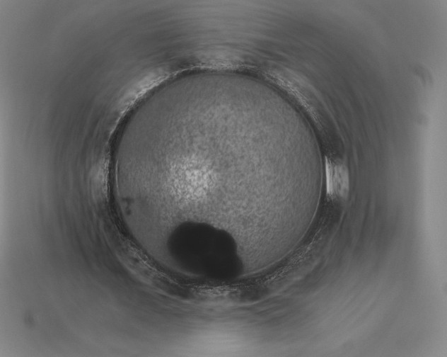 X0000115280675200911131829