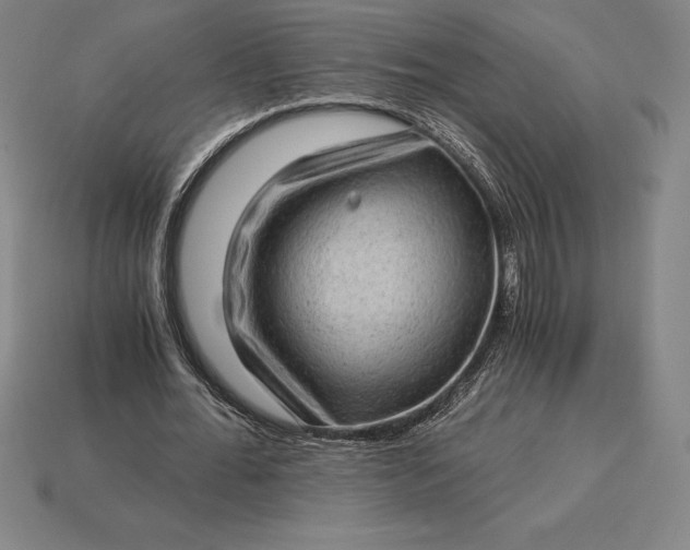 X0000115280676200911131829