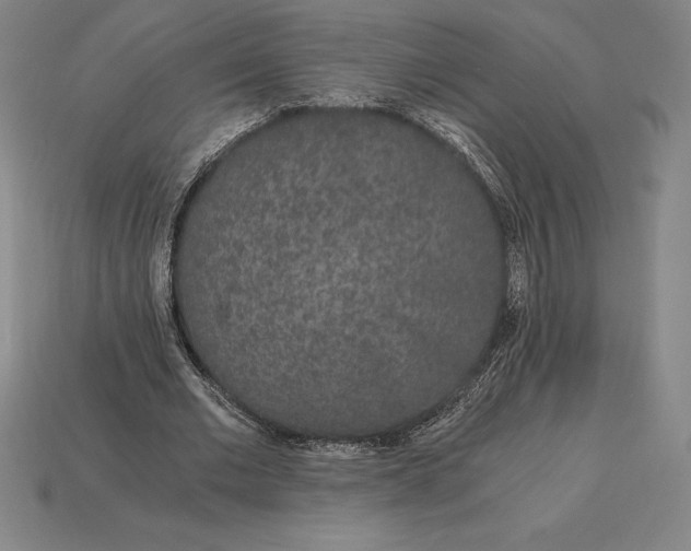 X0000115280677200911131829