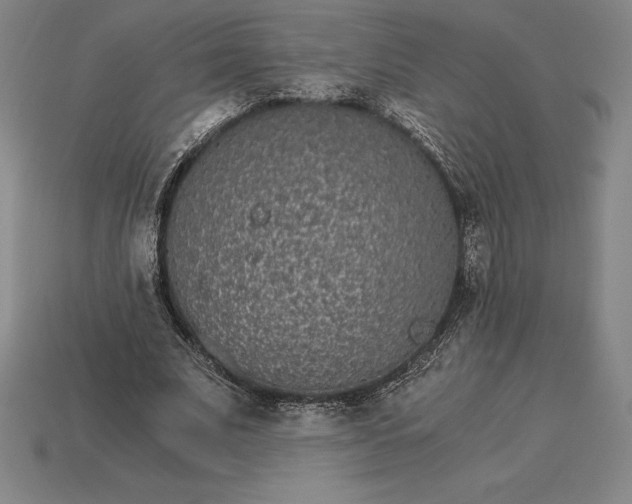 X0000115280679200911131829