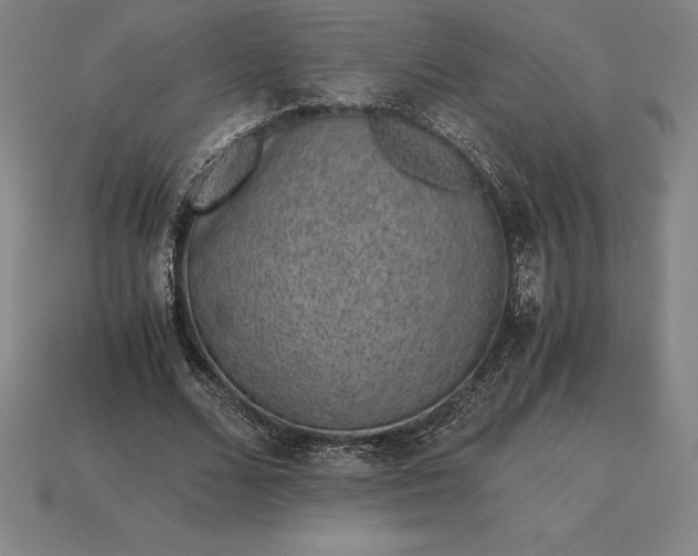 X0000115280680200911131829