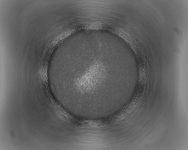 X0000115280681200911131829