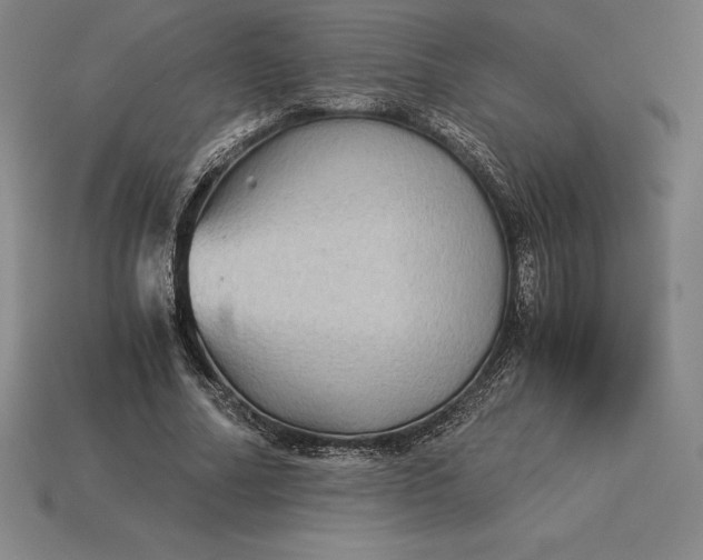 X0000115280682200911131829