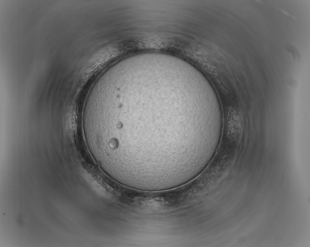 X0000115280683200911131829