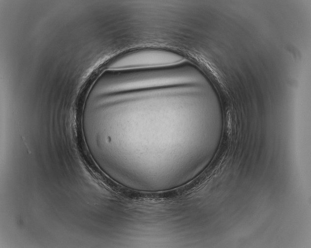 X0000115280684200911131829