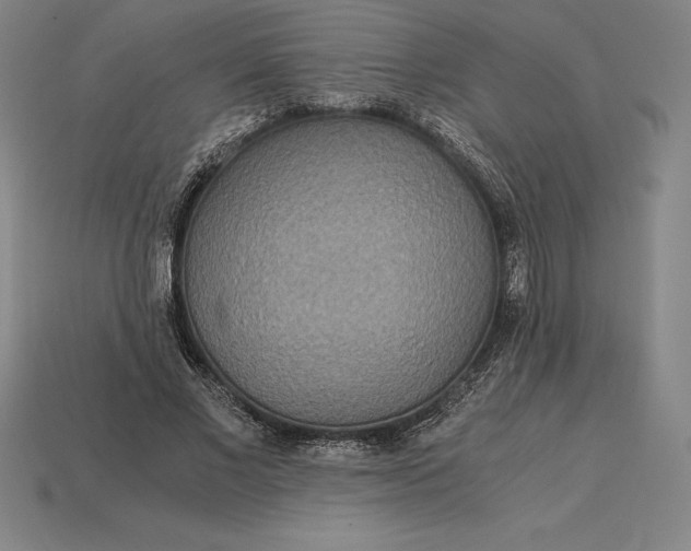 X0000115280685200911131829