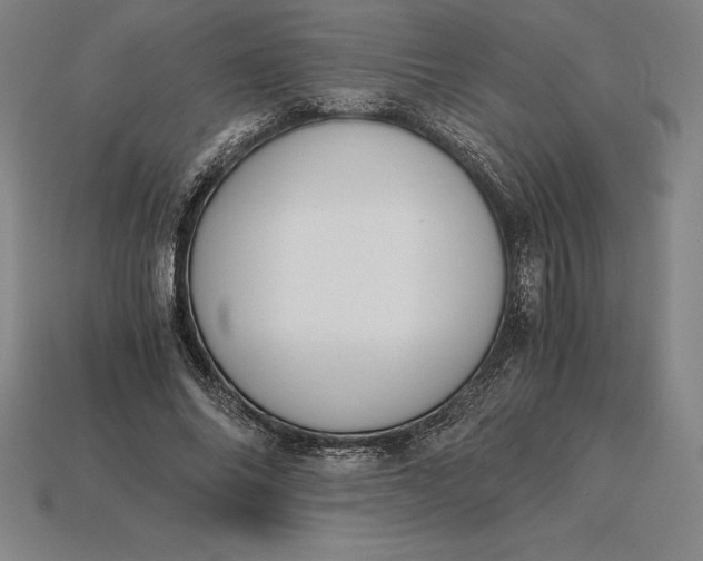 X0000115280686200911131829