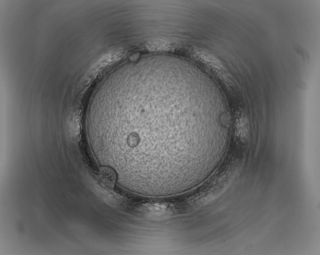 X0000115280687200911131829