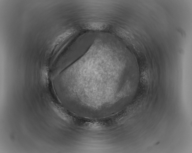 X0000115280688200911131829