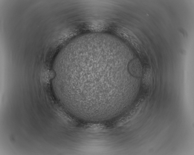 X0000115280689200911131829