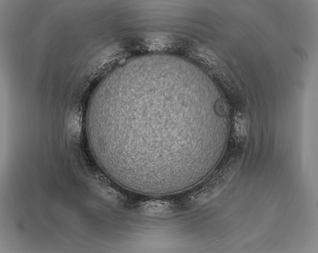 X0000115280691200911131829