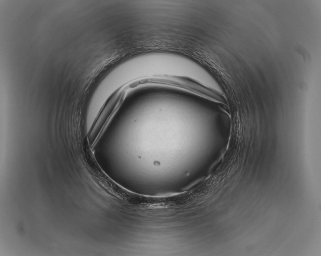 X0000115280692200911131829