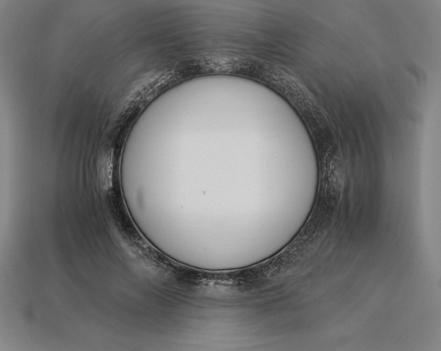 X0000115280694200911131829