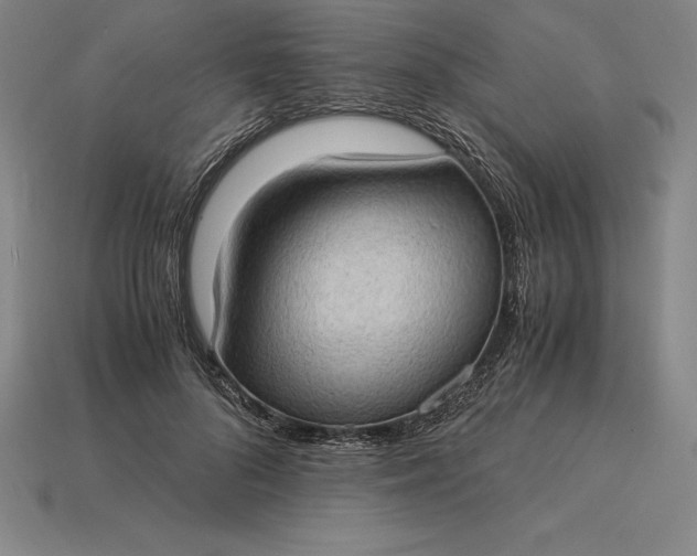 X0000115280696200911131829