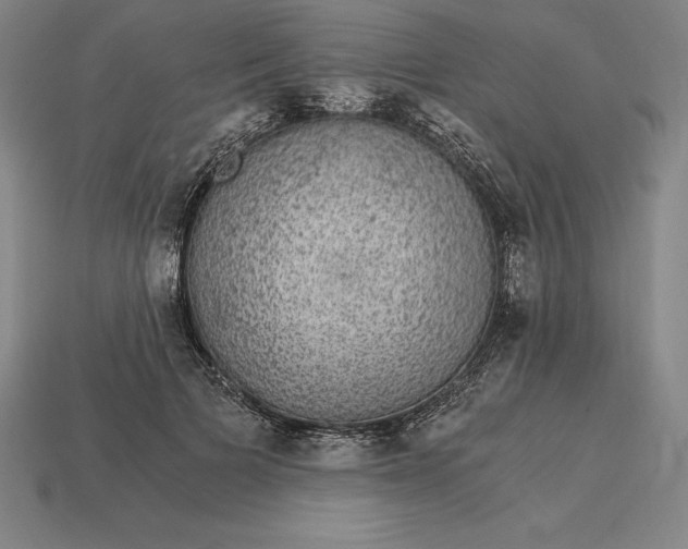 X0000115280697200911131829