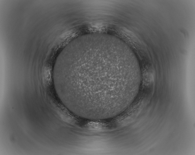 X0000115280699200911131829