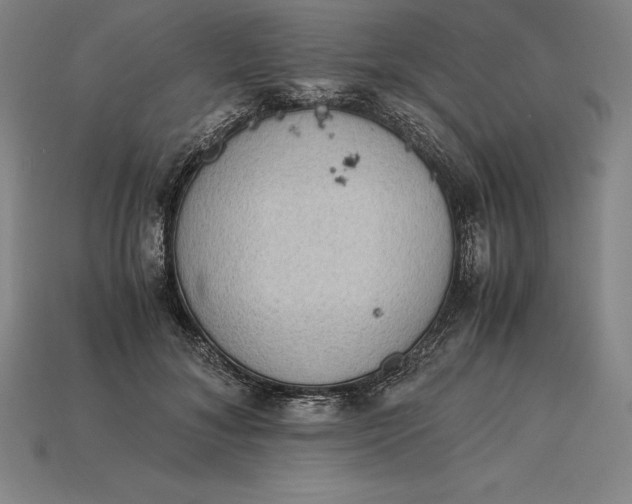 X0000115280700200911131829