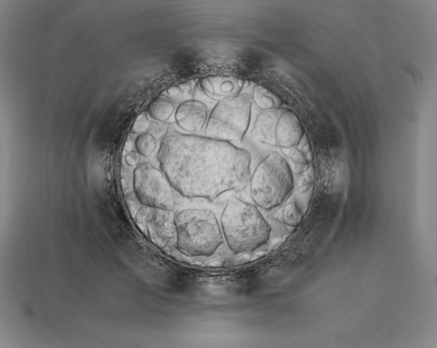 X0000115280701200911131829